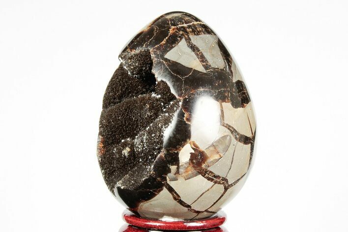 Septarian Dragon Egg Geode - Black Crystals #191491